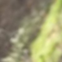 温泉 (@takutoran) 's Twitter Profile