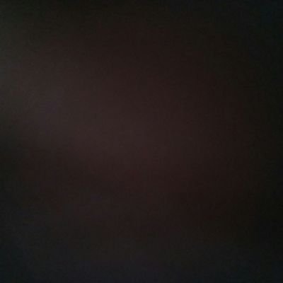 cachorro7851235's profile picture. 