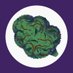 Get Sensible (@get_sensible) Twitter profile photo Get Sensible (@get_sensible) Twitter profile photo