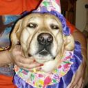 Debra Ward - @dmwtaurus - Twitter