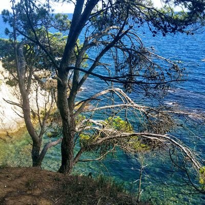 música, escapadas, viajes, conciertos, criptomonedas,