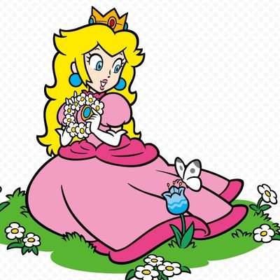 Amante de la princesa Peach y fan del UwU