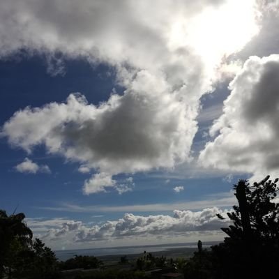 kuwanakty's profile picture. # liberté de choisir en âme et conscience # Ensemble