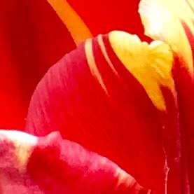 taorm3's profile picture. ALL AMERICAN IN EVERY WAY❤️🙏🇺🇸