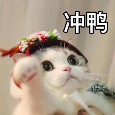 𝒍𝒐𝒌𝒐さんのプロフィール画像