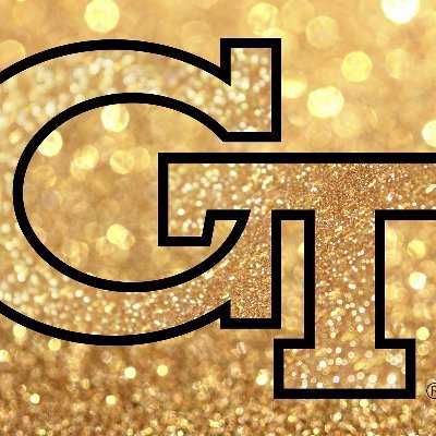 The Georgia Tech Staff Council exists to ADVOCATE, ENGAGE, and INFORM for the Institute's staff.