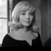 Allahım sen bize ek40bin ver (@kedistizim) 's Twitter Profile Photo