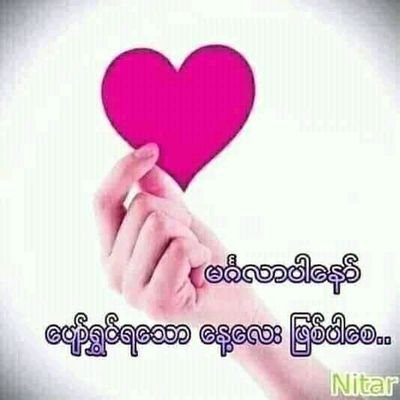 TinMoeW19723262's profile picture. 