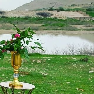 این آخرین باره من ازت میخام برگردی به خونه
این آخرین باره من ازت میخام عاقل شی دیوونه