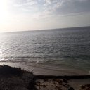 Carmen Barker - @carmenb63715893 - Twitter