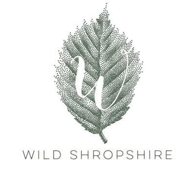 Experimental Chef and keen forager - Owner of Wild Shropshire restaurant, 25-27 Green End, Whitchurch #MichelinGuide2022
