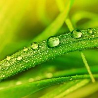 Sahngchul Bahk (@snchpr) 's Twitter Profile Photo