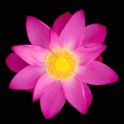 SoonerSally's profile picture. 