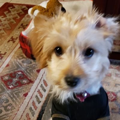 Lily02149550's profile picture. 