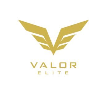 Valor7v7 Profile