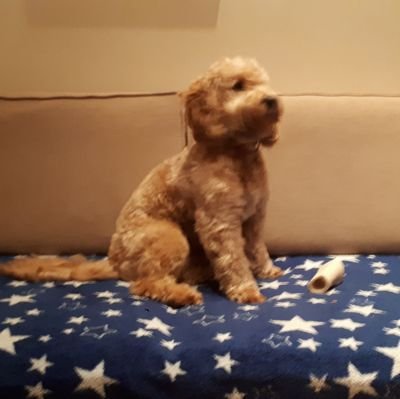 ClonMur's profile picture. Mary, the lads, Clonakilty, Limerick, Munster.