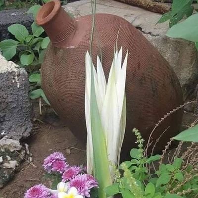 Hfvb34879497's profile picture. دكتور