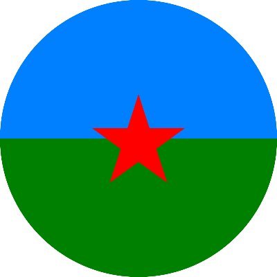Romanistancom's profile picture. "Every place, there is Roma, there is Romanistan", Slobodan Berberski about the 1st World Romani Congress 1971