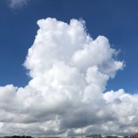 KTC (@kokorozashitc) 's Twitter Profile