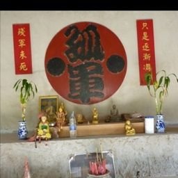 孤军未死 Profile
