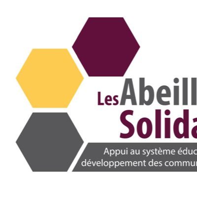 Première association pour la mise en place de bibliothèques communales📌Pour un accès à une éducation de qualité au Sénégal #lesabeillessolidaires