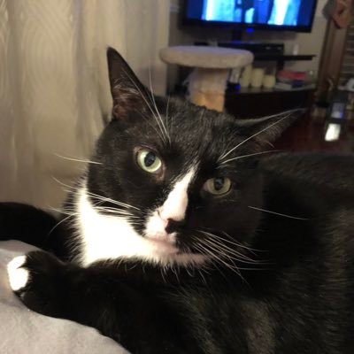 TinkerP91's profile picture. 