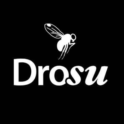 Gestión de vigilancia, pronóstico, investigación control de la plaga drosophila de alas manchadas, Drosophila suzukii en Chile.