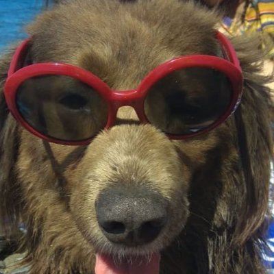 Virgini75001495's profile picture. El humor