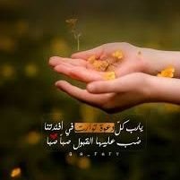 DKafarneh's profile picture. ‏‏‏‏‏علم نفس
