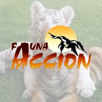 Fauna y Acción S.L.(@FaunayAccion) 's Twitter Profile Photo