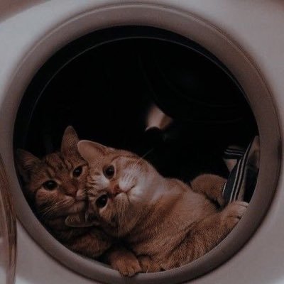 سبحان الله وبحمده | لله دٌر الكتوم إذا نطقّ