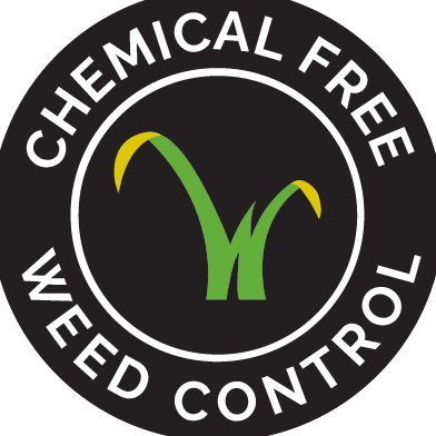 Weedtechnics offers the most cost-effective hydro-thermal weed control machines available.
Read my comparison of organic weeding methods https://t.co/1Cqj6cIfzu