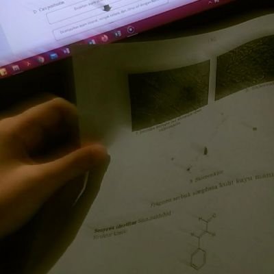 theoofaniii's profile picture. 🕊a little girl with a million dreams