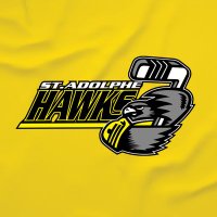 St.Adolphe - Hawkeyville (@adolphe_st) 's Twitter Profile