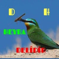 Mamhoste (@heyra63) 's Twitter Profile