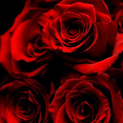 OPermatasari's profile picture. .