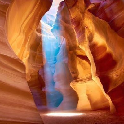 ki_yo_teru's profile picture. 竹園→阪大/薬/無言フォロー失礼します！