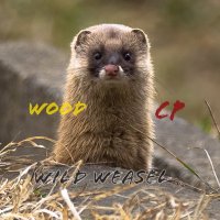 Wild Weasel(@CP13FS_WOOD14FS) 's Twitter Profile Photo