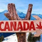 We will help you to make your vacation time more perfect around one of the most attractive country among the tourists, CANADA.