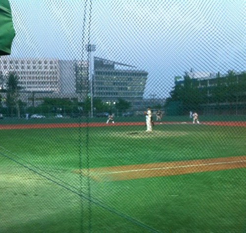 Vitaminplus's profile picture. 스포츠/사회인야구/골프/헬스 /미드/영어/맛집/싱글몰트/여행