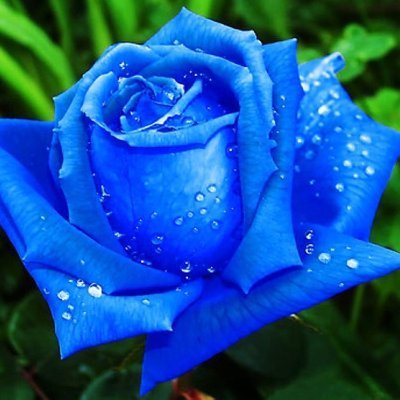 Ay_murad's profile picture. Wadani. Realist. Loyal to Golaha iyo Dadka Soomaaliyeed (GDS) 🇸🇴 #Soomaaliya_Hanoolaato from Afdem to Hobyo and from Caluula to Garissa 🇸🇴