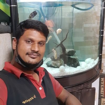 RajeshS72040019's profile picture. Alignment technician