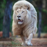 k9ine (@k9ine75) 's Twitter Profile Photo k9ine (@k9ine75) 's Twitter Profile Photo