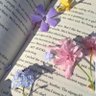 Xll1101's profile picture. Teaching Staff-English Language &Translation