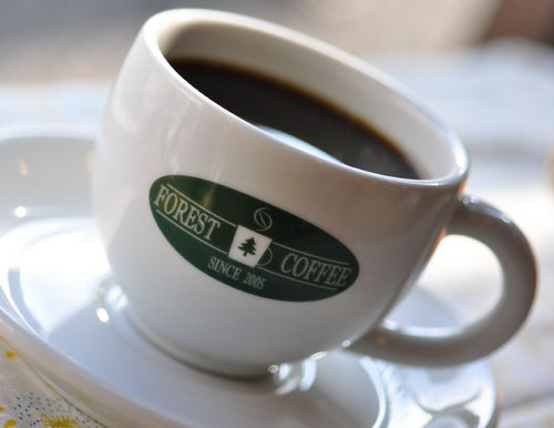 forestcoffee Profile Picture