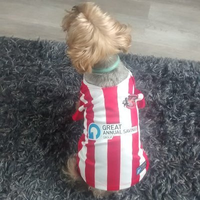 Sunderland AFC is the club to love.
Basingstoke & District Football League Fixture Secretary, Match & Registration Secretary & Tadley Calleva FC Secretary
