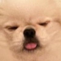ムーチョの部屋 (@muchozamurai) 's Twitter Profile