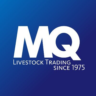 Meadow Quality is a farmer-owned, livestock marketing company. We're experts in marketing cattle, sheep & pigs, and proud members of the UK farming industry.