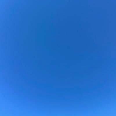 皇室を守る。国防、経済、政治ばかり気になる今日この頃。私の税金は全て国防に捧げていると思ってせっせと毎日仕事してます。