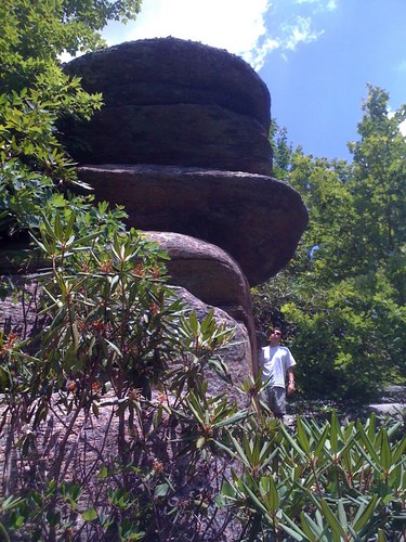 jkon31's profile picture. 